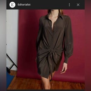 Gilner Ferrar Chic Long Sleeve Brown Dress